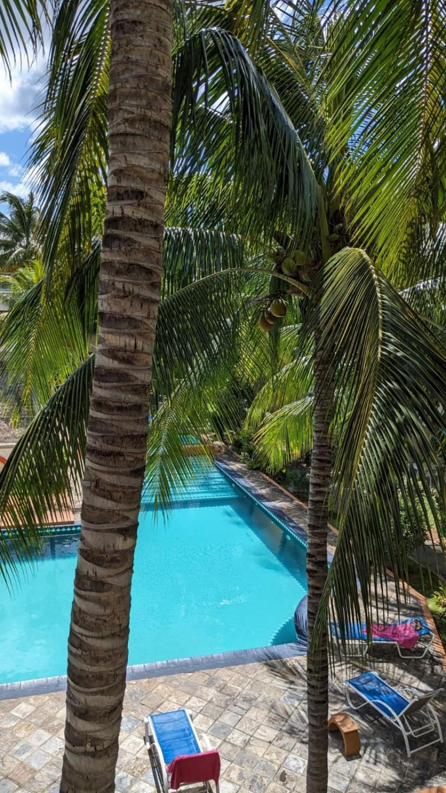 Charming Apartment Close To Beach & Amenities - Appartement De Charme Proche Plage Flic-en-Flacq 외부 사진