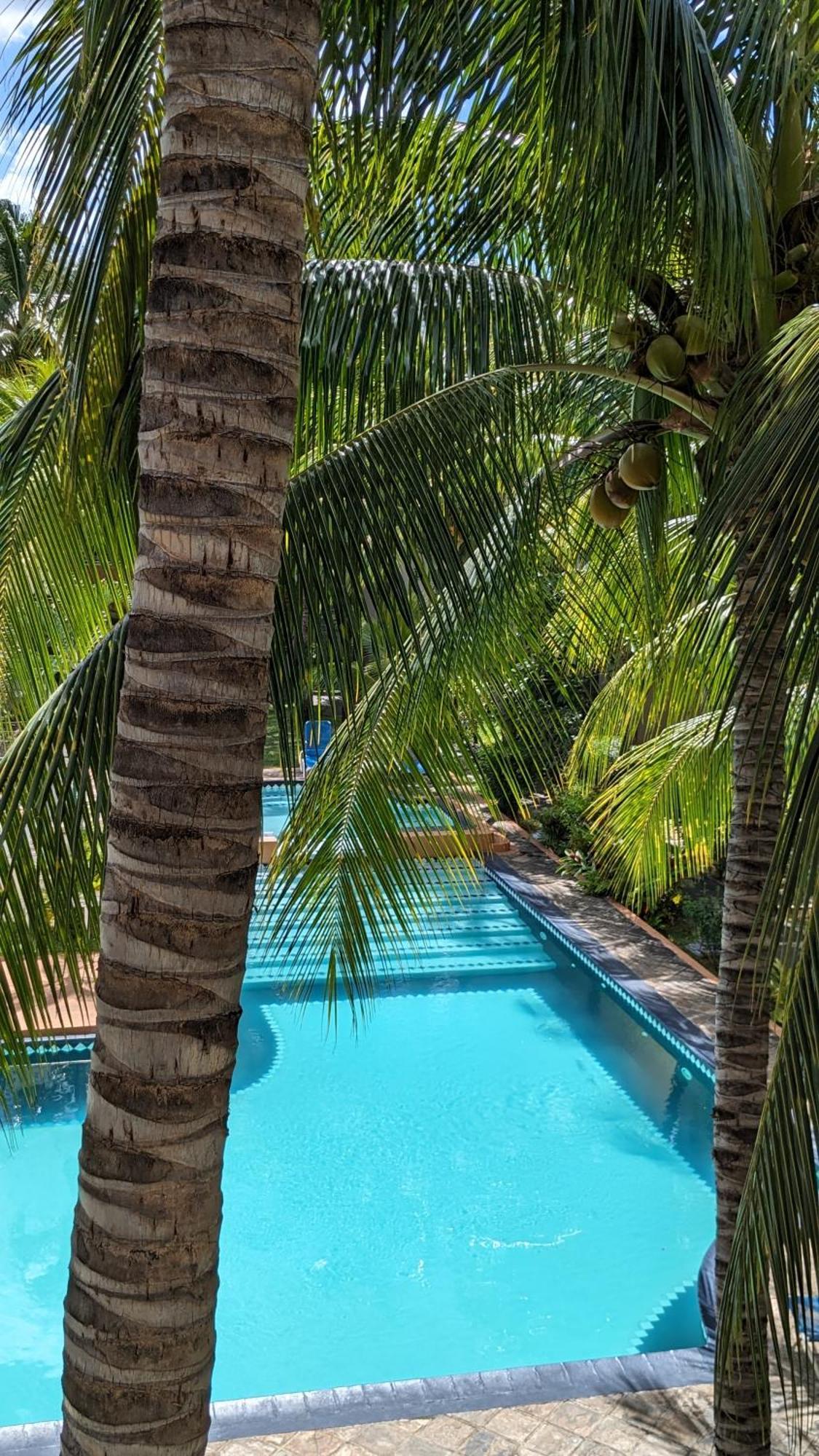 Charming Apartment Close To Beach & Amenities - Appartement De Charme Proche Plage Flic-en-Flacq 외부 사진